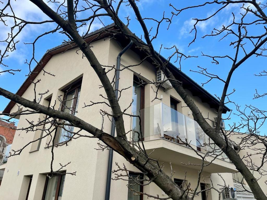 Nature In The City Lower Storey Bestern Szeged Kültér fotó